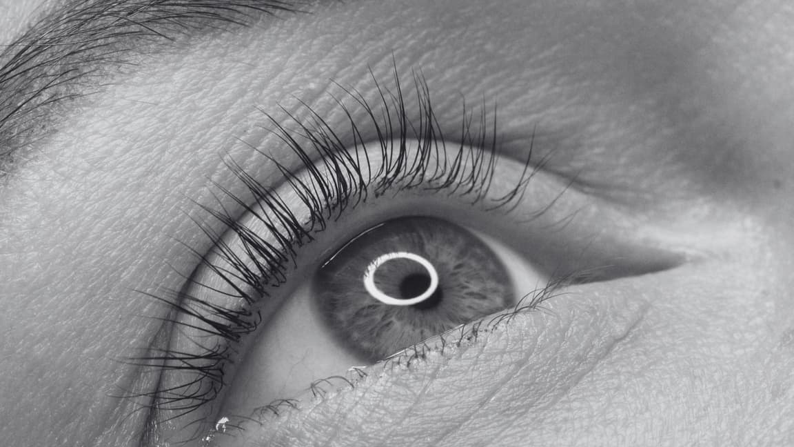 Cejas
